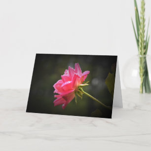 Red Rose & Raindrops, card