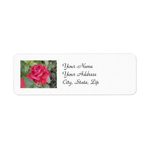 Red Rose Return Address Label