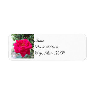 Red Rose Return Address Lables Label