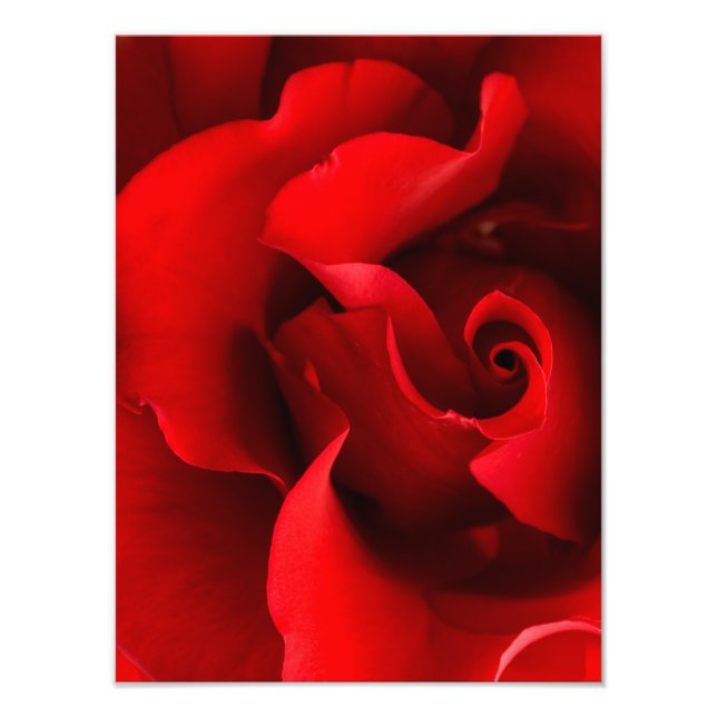 Red Rose - Roses Customised Template Photo Print (Front)