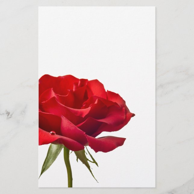 Red Rose - Roses Customised Template Stationery (Front)