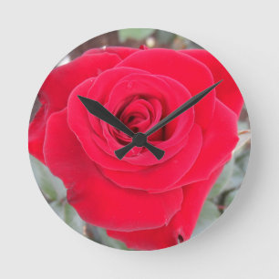 Red Rose Round Clock