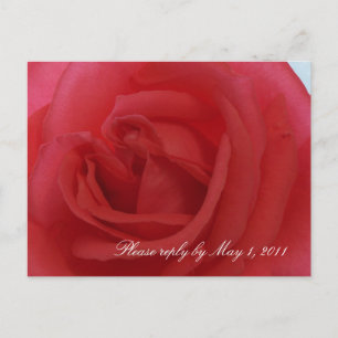 Red Rose RSVP Invitation Postcard