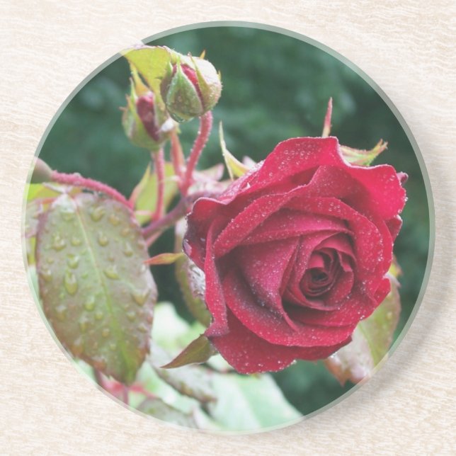 Red Rose Sandstone Coaster (Front)
