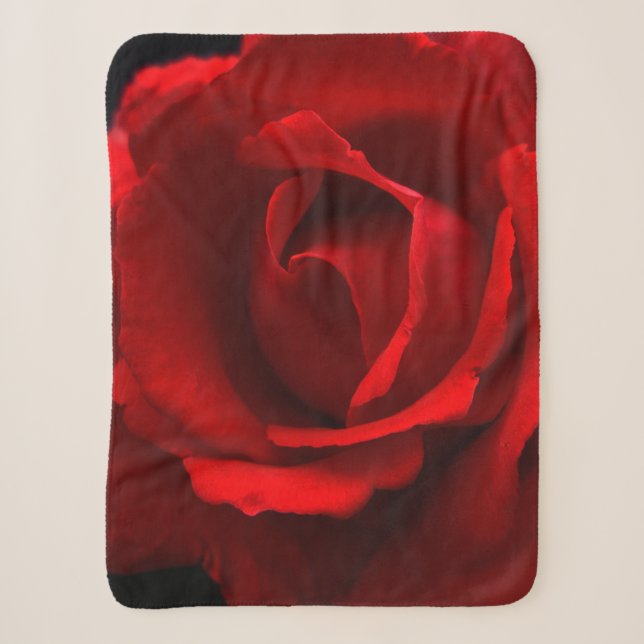 Red Rose sbcna Sherpa Blanket (Front)