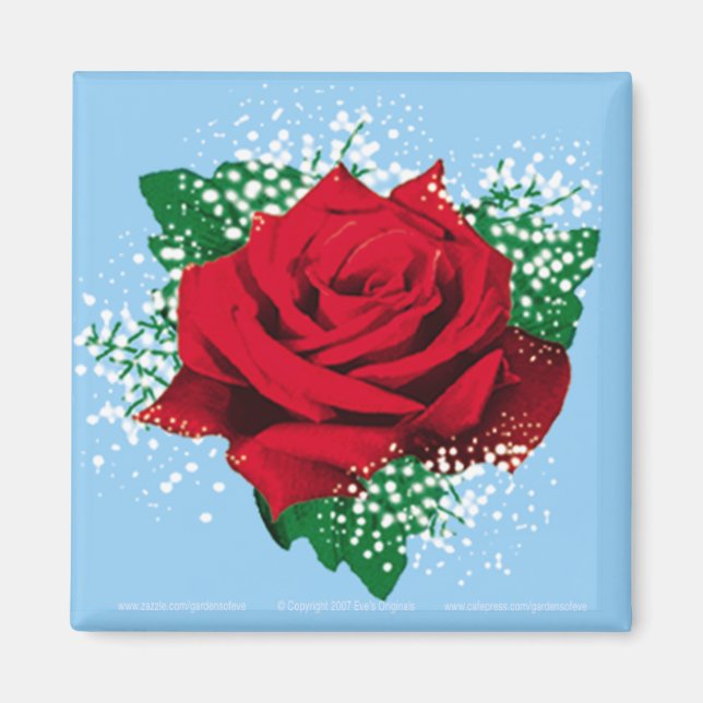 RED ROSE Sq Magnet (Front)