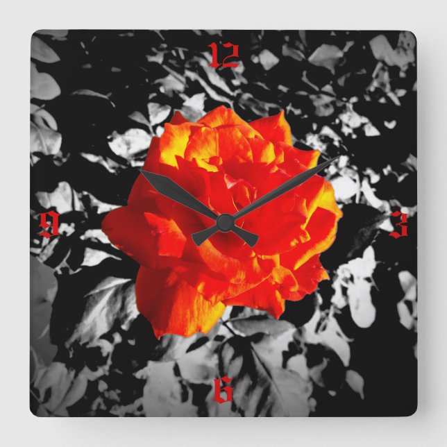 Red rose Square Wall Clock (Front)