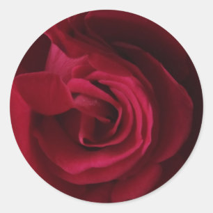 Red Rose Sticker