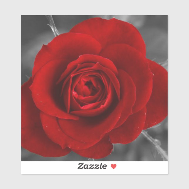 Red Rose Sticker (Sheet)