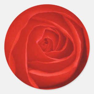 Red Rose Sticker