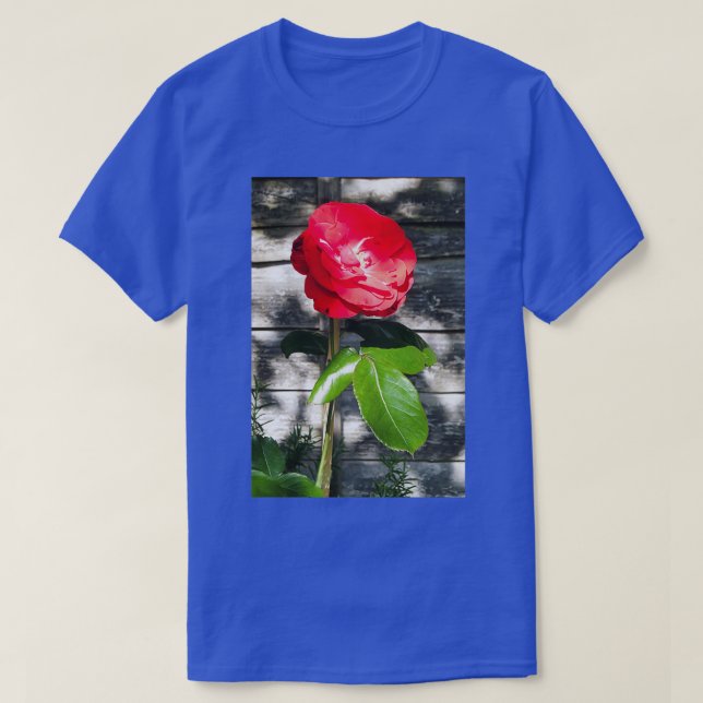 Red Rose T-Shirt (Design Front)