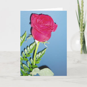 “Red Rose” Thank You Card