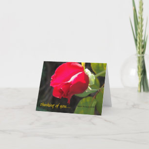 Red Rose - Thinking of You - CA GardensCard Card