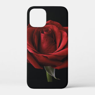 Red rose throw pillow iPhone 12 mini case