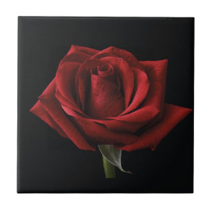 Red rose throw pillow ceramic tile