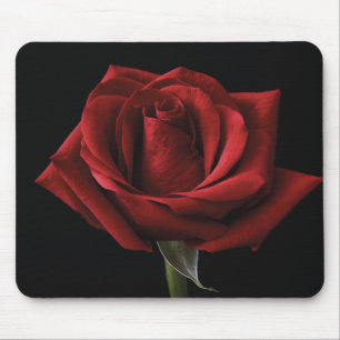 Red rose throw pillow mouse pad