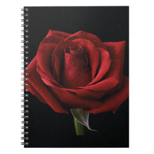 Red rose throw pillow notebook
