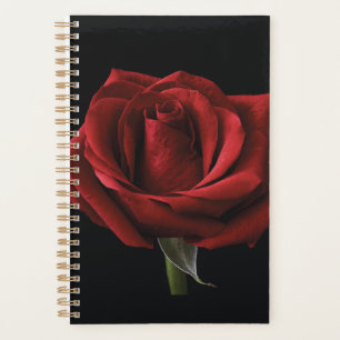 Red rose throw pillow planner