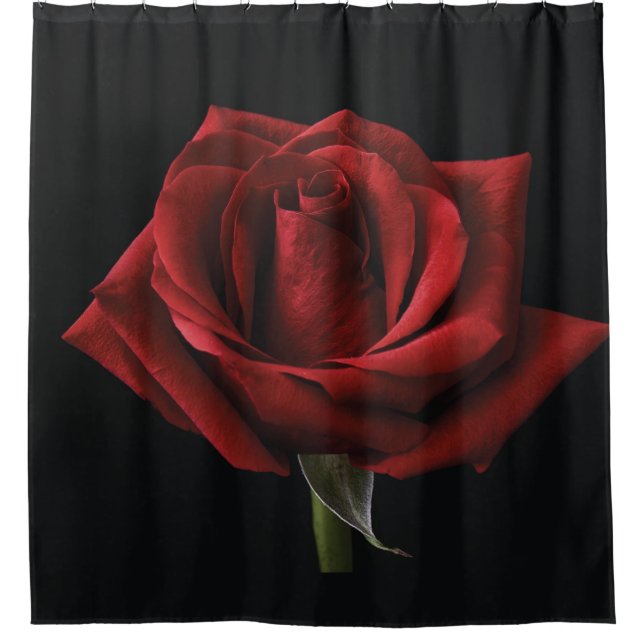 Red rose throw pillow shower curtain (Front)