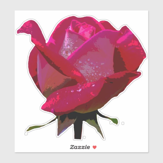 Red Rose Thunder_Cove (Sheet)