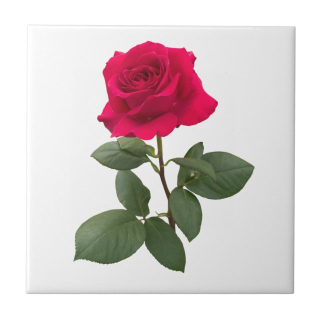 Red rose tile (Front)