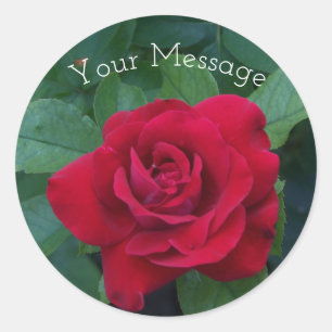Red Rose Up Close Classic Round Sticker