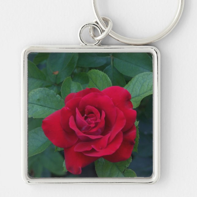 Red Rose Up Close Key Ring (Front)
