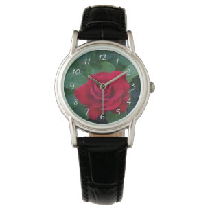 Red Rose Up Close Watch