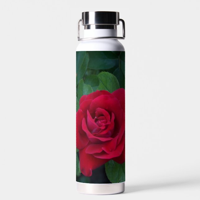 Red Rose Up Close Water Bottle (Back)