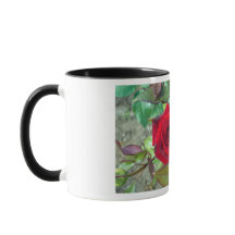 Red Rose Valentines Day Mug