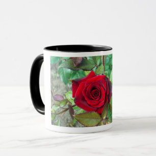Red Rose Valentines Day Mug