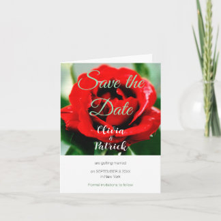 Red Rose Wedding Save the Date  Invitation
