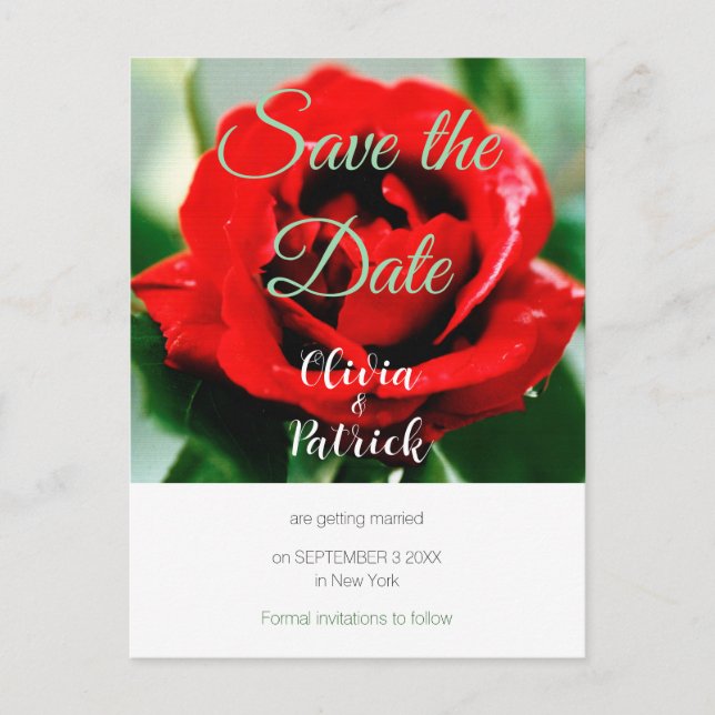 Red Rose Wedding Save the Date  Invitation Postcard (Front)