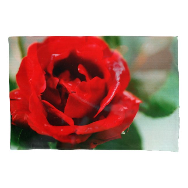 Red Rose with Dew Drops  Pillowcase (Front)