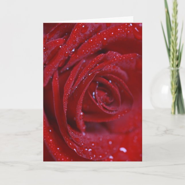 Red rose with water drops Greeting card with love (Front)
