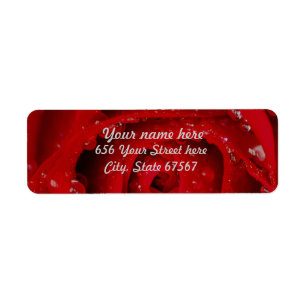 Red Rose with Water Drops Return Address labels