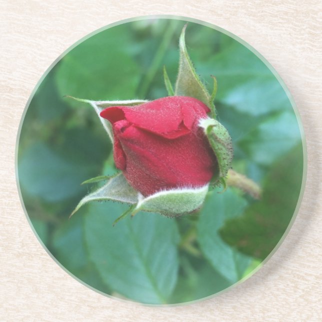 red rosebud coaster (Front)
