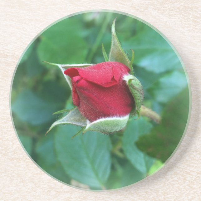 red rosebud coaster (Front)