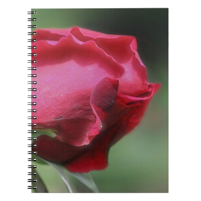 Red Rosebud Flower Nature Notebook (Front)