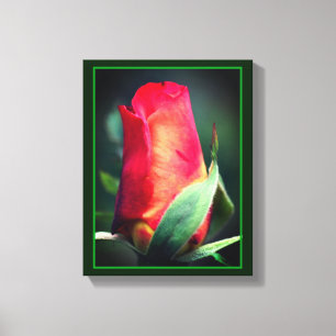 Red Rosebud Flower With Yellow Highlights Canvas Print