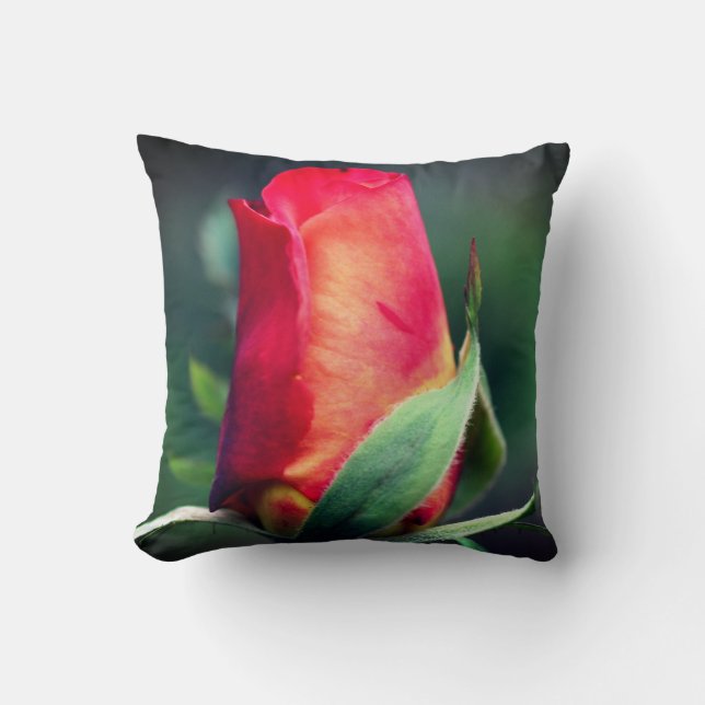 Red Rosebud Flower With Yellow Highlights Close Up Cushion (Front)