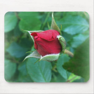 red rosebud mouse pad