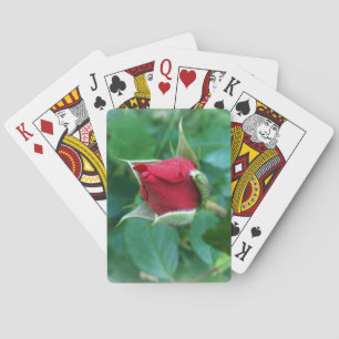 red rosebud playing cards