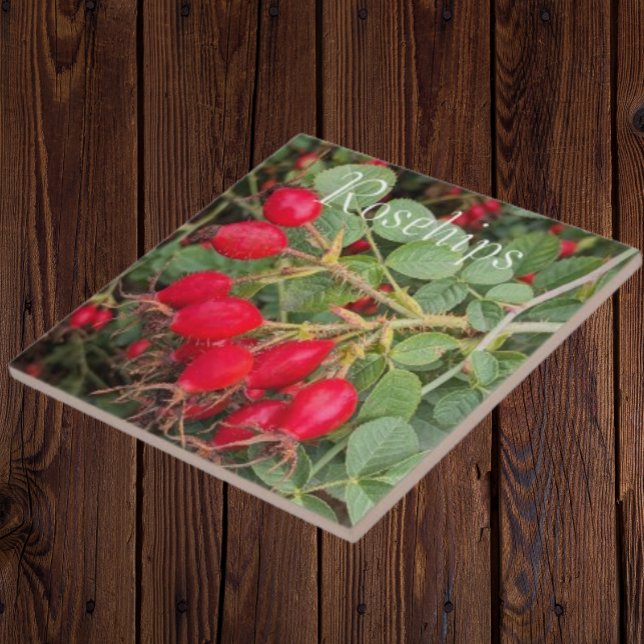 Red Rosehips Botanical Ceramic Tile (In Situ)