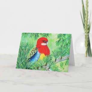 Red Rosella Bird Painting Card