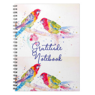Red Rosella Parrot Parrots Birds Gratitude Journal