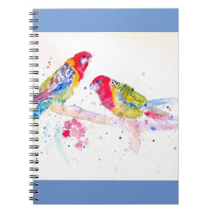 Red Rosella Parrot Watercolour Painting Notebook