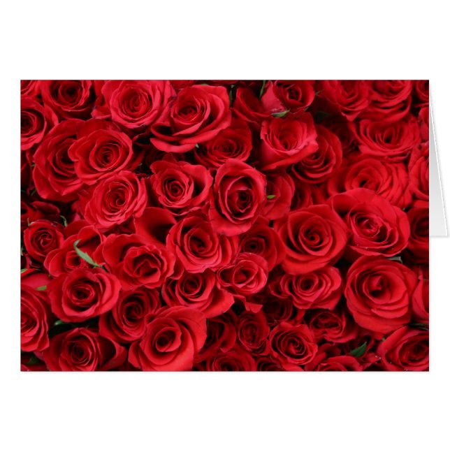 Red Roses (Front Horizontal)