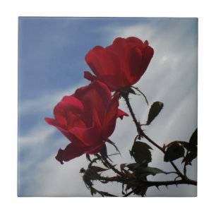 Red Roses Against a Bright Blue Sky Ceramic Tile