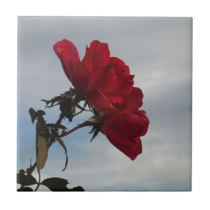 Red Roses Against a Bright Blue Sky Ceramic Tile